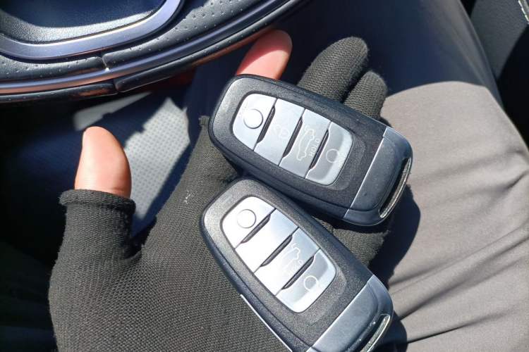 Used Hongqi H9 2022 2.0T Smart Connect Flagship Edition Vehicle Key
