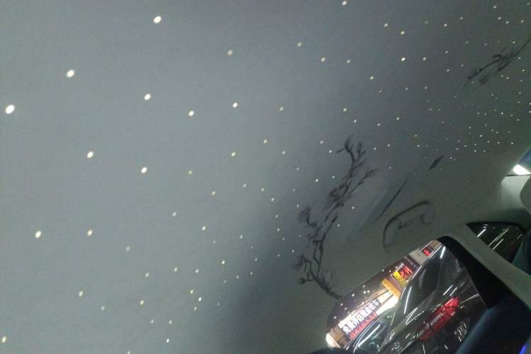 Used Hongqi H9 2022 3.0T H9+ Premium Custom Edition Headliner