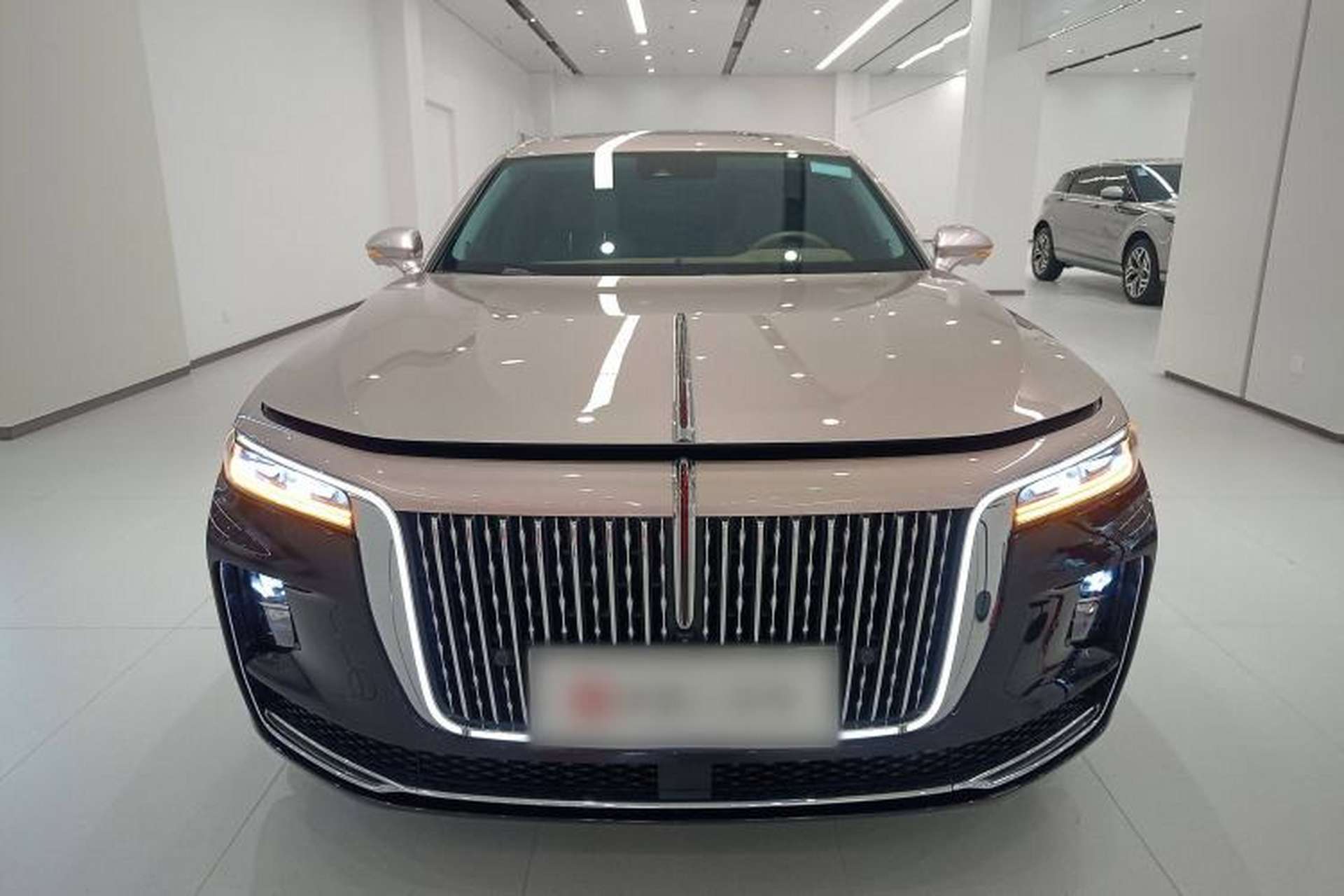 Used Hongqi H9 2022 3.0T Smart Connect Flagship Four-Seater Version Exterior 1