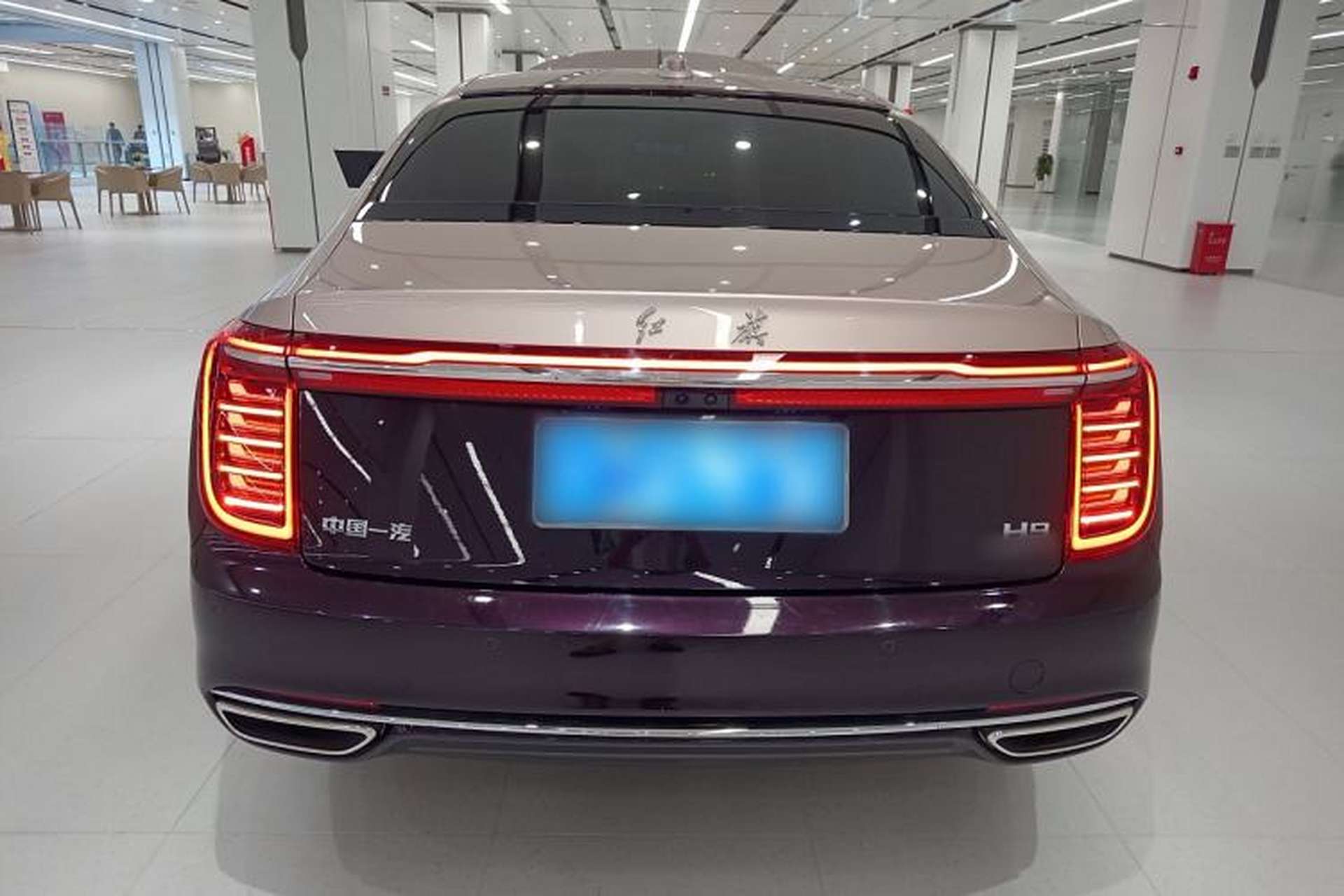 Used Hongqi H9 2022 3.0T Smart Connect Flagship Four-Seater Version Exterior 4
