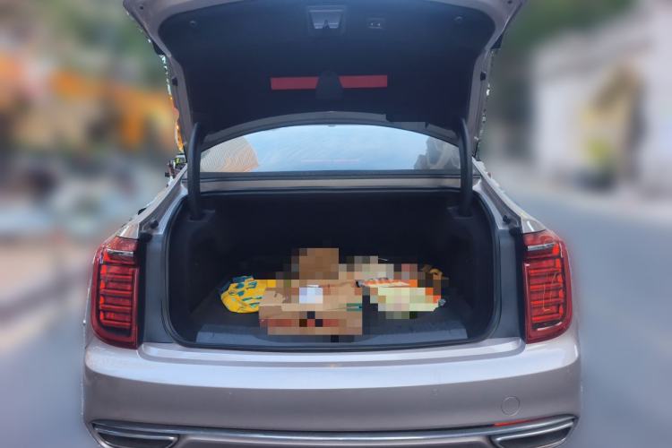 Used Hongqi H9 2022 2.0T Smart Connect Flagship Edition Trunk