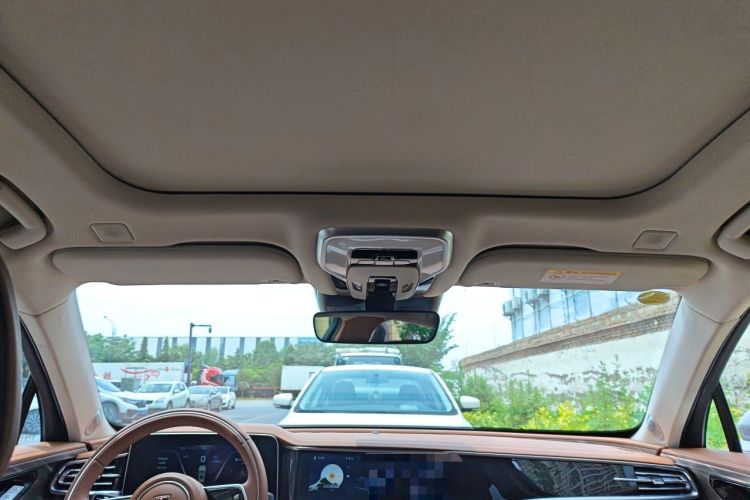 Used Hongqi H9 2022 2.0T Smart Connect Flagship Edition Headliner