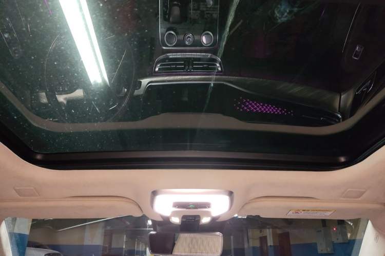 Used Hongqi H9 2022 3.0T Smart Connect Flagship Four-Seater Version Headliner