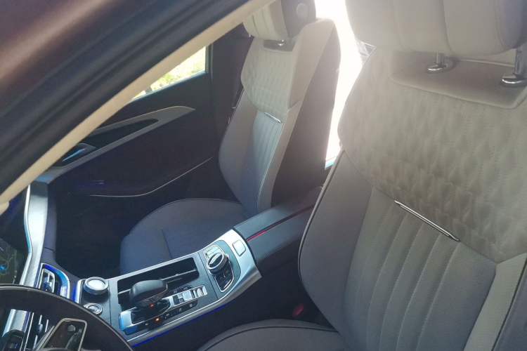 Used Hongqi H9 2022 3.0T Smart Connect Flagship Four-Seater Version Left Front Seat