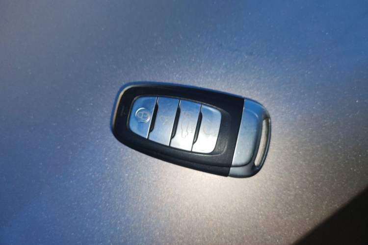 Used Hongqi H9 2022 3.0T Smart Connect Flagship Four-Seater Version Vehicle Key
