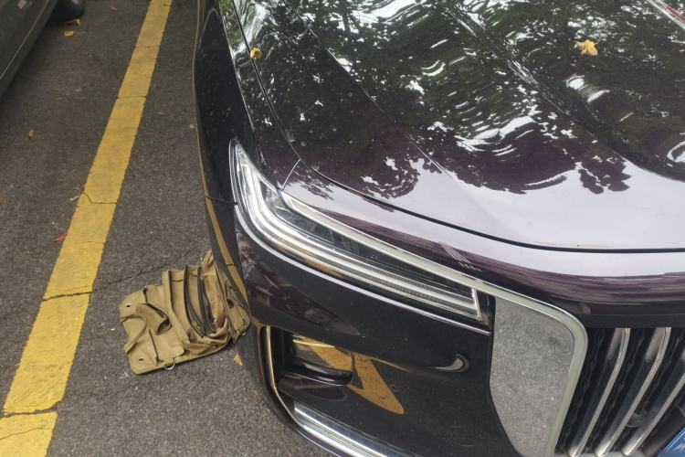 Used Hongqi H9 2022 2.0T Smart Connect Flagship Edition Exterior 6