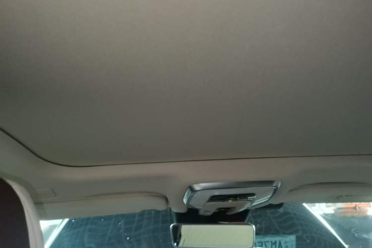 Used Hongqi H9 2022 2.0T Smart Connect Flagship Edition Headliner