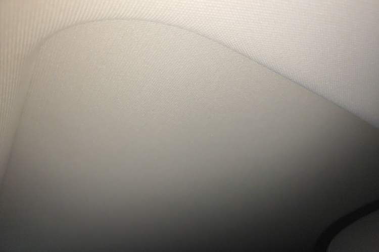 Used Hongqi H9 2022 2.0T Smart Connect Flagship Edition Headliner