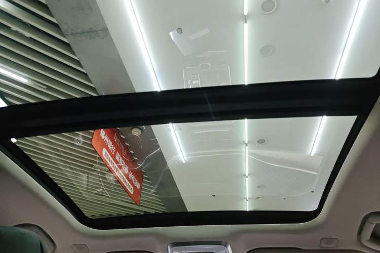 Used Hongqi H9 2022 2.0T Smart Connect Flagship Edition Headliner