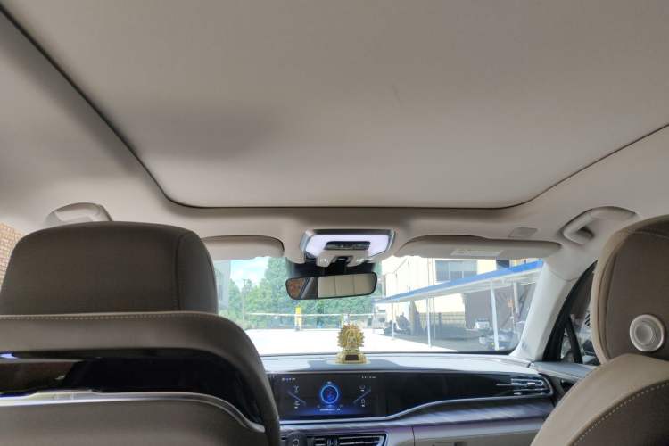 Used Hongqi H9 2022 2.0T Smart Connect Flagship Edition Headliner