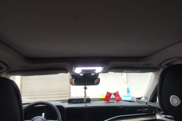 Used Hongqi H9 2022 2.0T Smart Connect Flagship Edition Headliner