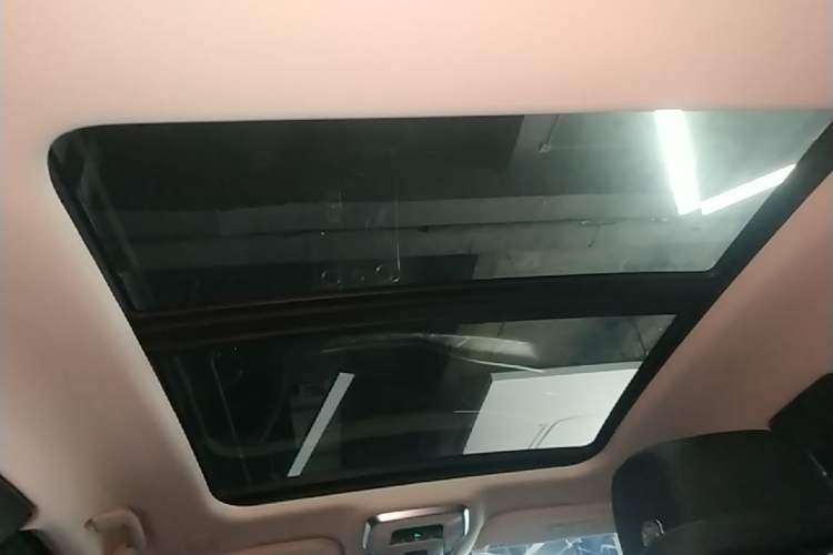 Used Hongqi H9 2022 2.0T Smart Connect Flagship Edition Headliner