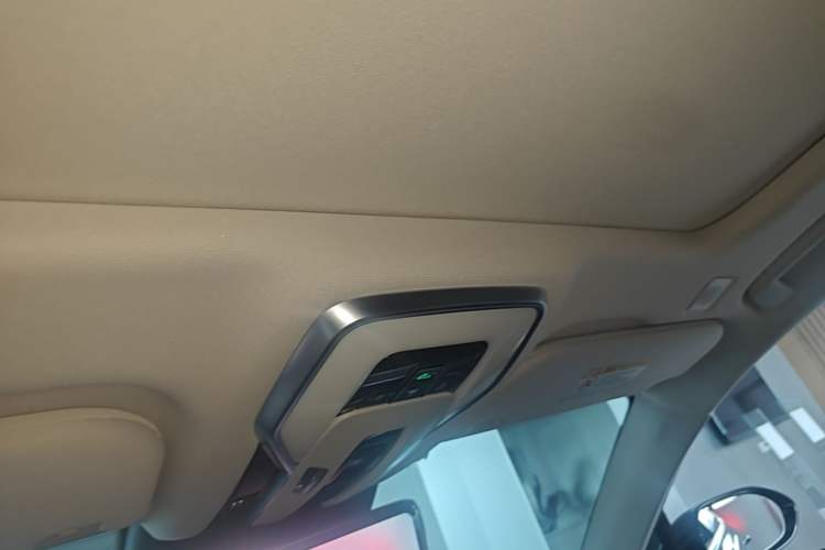Used Hongqi H9 2022 2.0T Smart Connect Flagship Edition Headliner