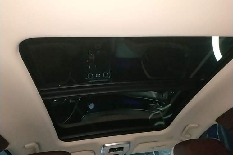 Used Hongqi H9 2022 2.0T Smart Connect Flagship Edition Headliner