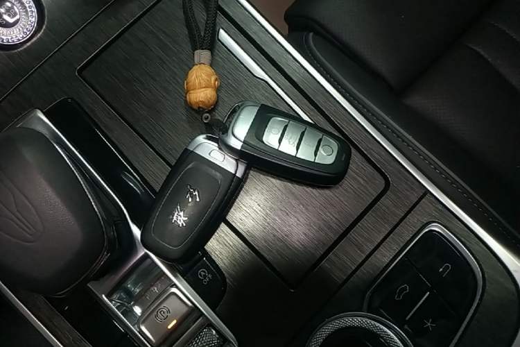 Used Hongqi H9 2022 2.0T Smart Connect Flagship Edition Interior 1