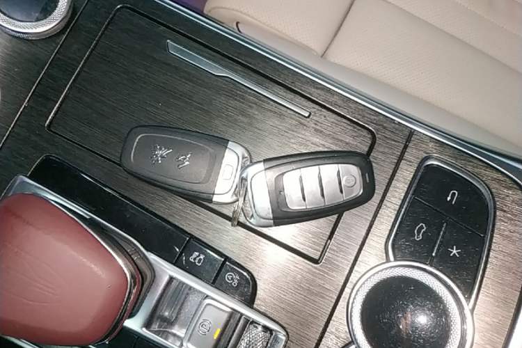 Used Hongqi H9 2022 2.0T Smart Connect Flagship Edition Interior 1