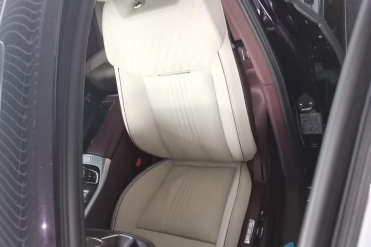 Used Hongqi H9 2022 2.0T Smart Connect Flagship Edition Left Front Seat