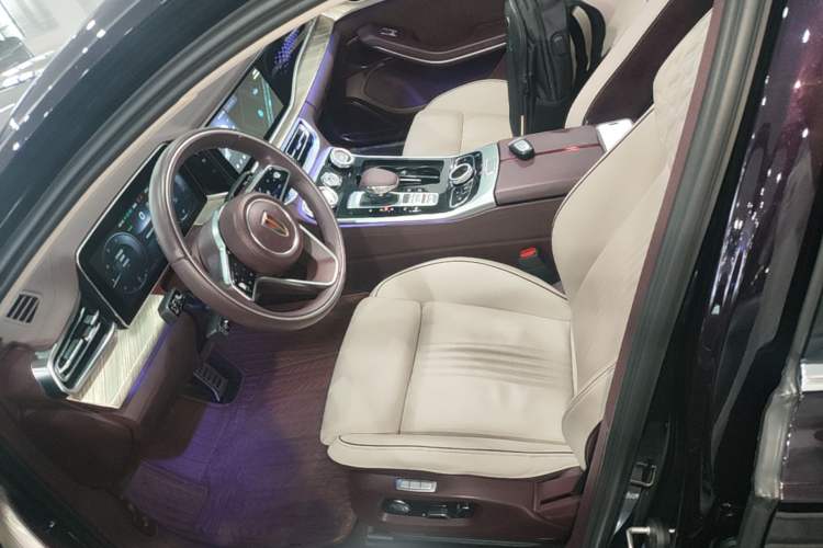 Used Hongqi H9 2022 2.0T Smart Connect Flagship Edition Left Front Seat