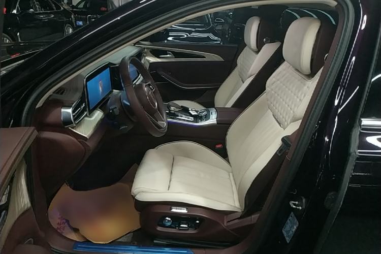 Used Hongqi H9 2022 2.0T Smart Connect Flagship Edition Left Front Seat