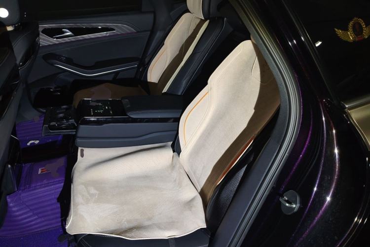 Used Hongqi H9 2022 2.0T Smart Connect Flagship Edition Left Rear Seat