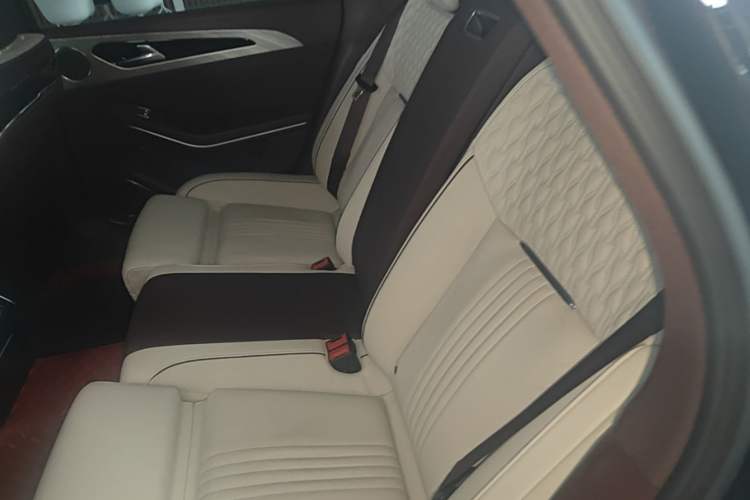 Used Hongqi H9 2022 2.0T Smart Connect Flagship Edition Left Rear Seat