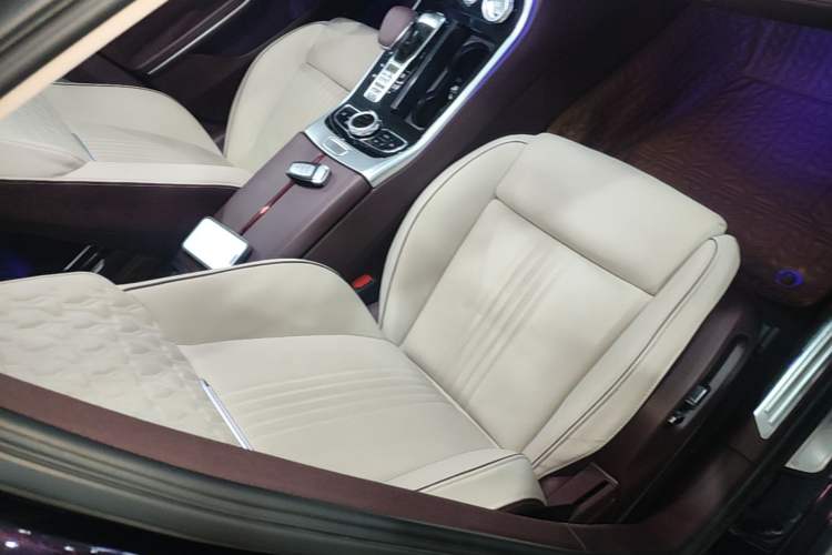Used Hongqi H9 2022 2.0T Smart Connect Flagship Edition Right Front Seat