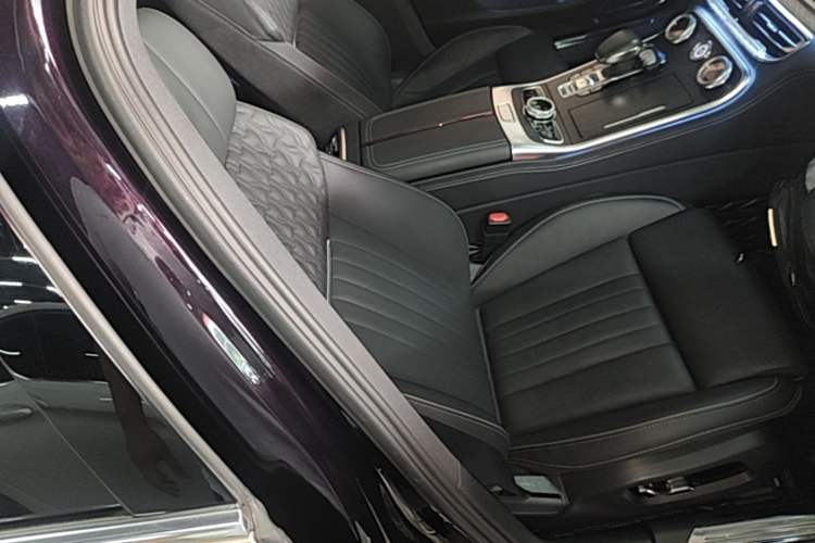 Used Hongqi H9 2022 2.0T Smart Connect Flagship Edition Right Front Seat