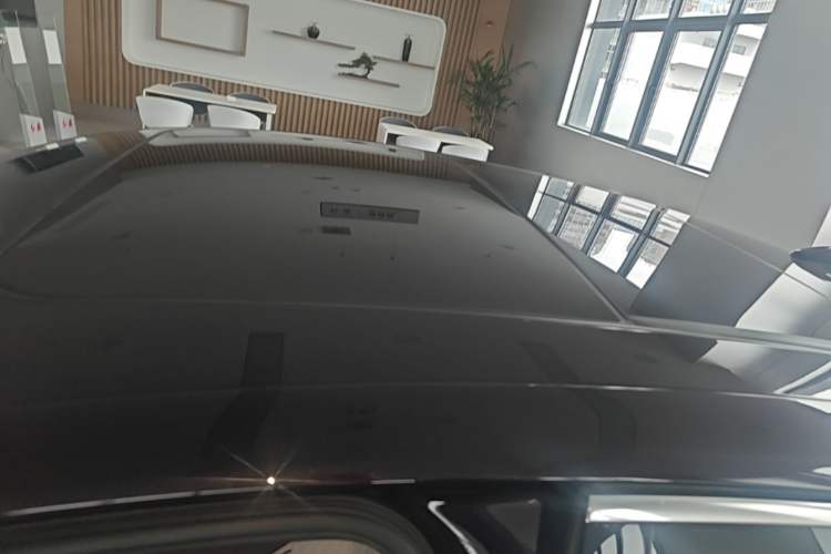 Used Hongqi H9 2022 2.0T Smart Connect Flagship Edition Roof