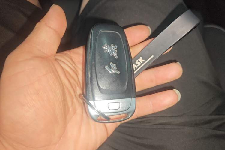 Used Hongqi H9 2022 2.0T Smart Connect Flagship Edition Vehicle Key