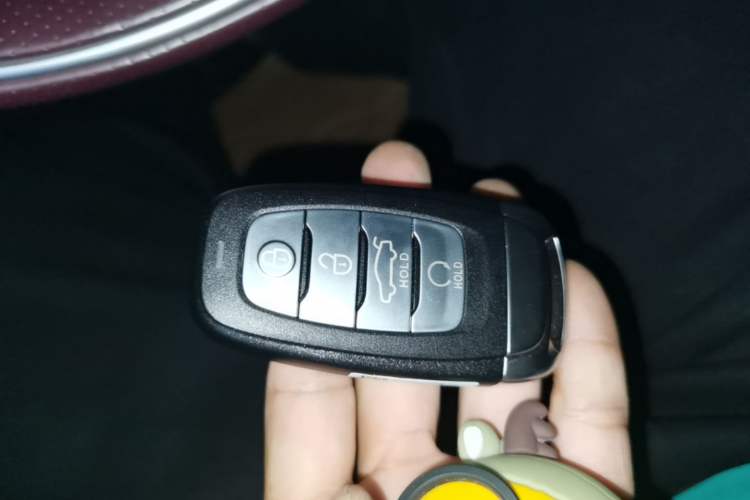 Used Hongqi H9 2022 2.0T Smart Connect Flagship Edition Vehicle Key