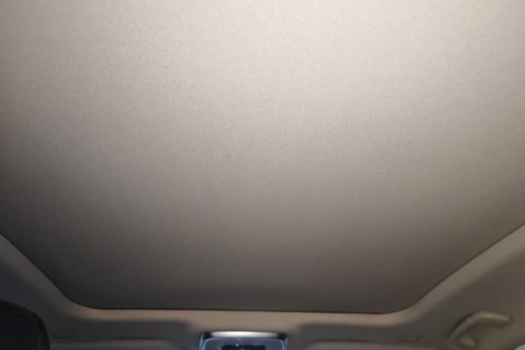 Used Hongqi H9 2022 2.0T Smart Connect Flagship Edition Headliner