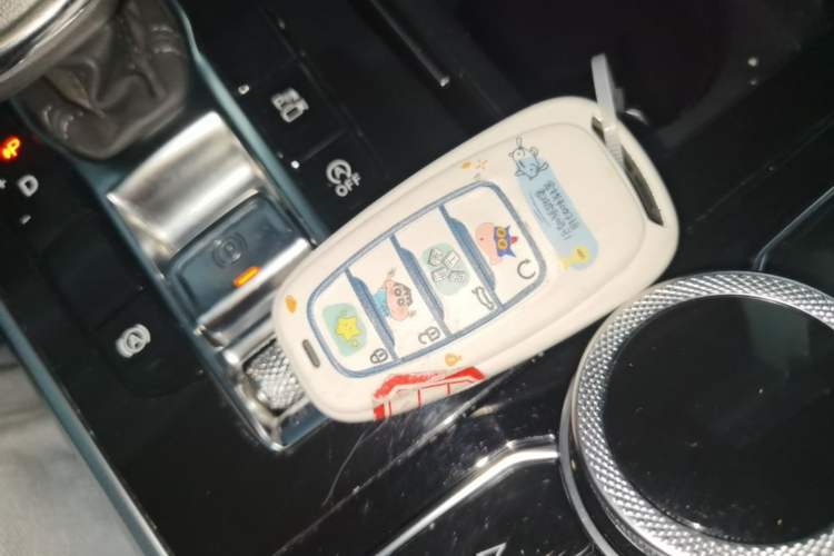 Used Hongqi H9 2022 2.0T Smart Connect Flagship Edition Vehicle Key