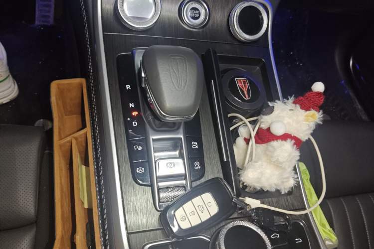 Used Hongqi H9 2022 3.0T Smart Connect Flagship Four-Seater Version Gear Lever