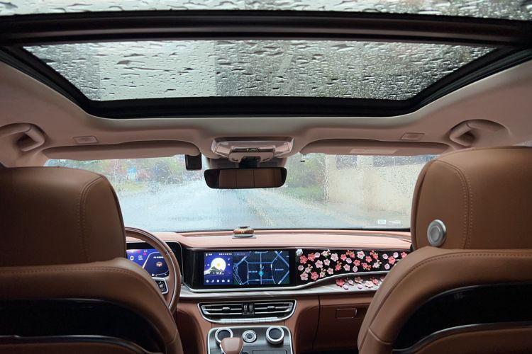 Used Hongqi H9 2022 2.0T Smart Connect Flagship Edition Headliner