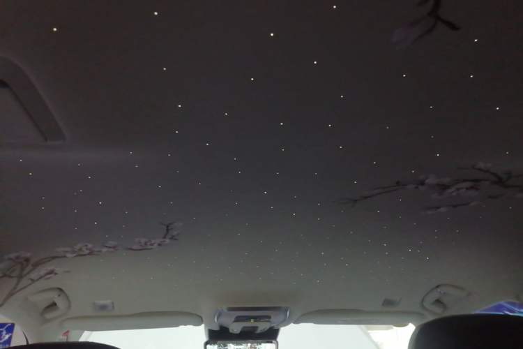 Used Hongqi H9 2022 3.0T H9+ Premium Custom Edition Headliner