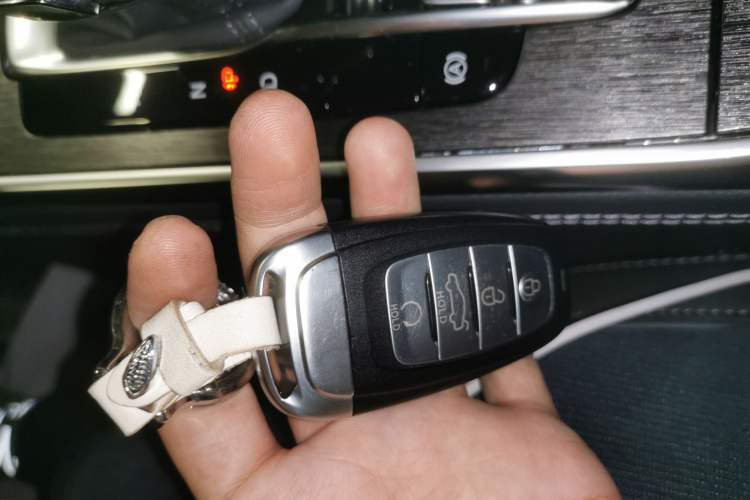 Used Hongqi H9 2022 2.0T Smart Connect Flagship Edition Interior 1
