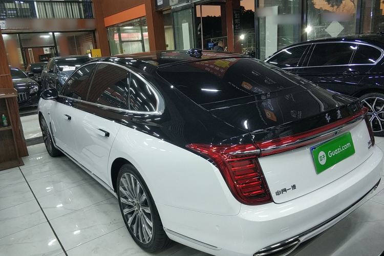 Used Hongqi H9 2022 3.0T Smart Connect Flagship Four-Seater Version Left Side