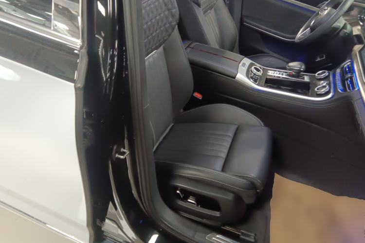 Used Hongqi H9 2022 3.0T Smart Connect Flagship Four-Seater Version Right Front Seat
