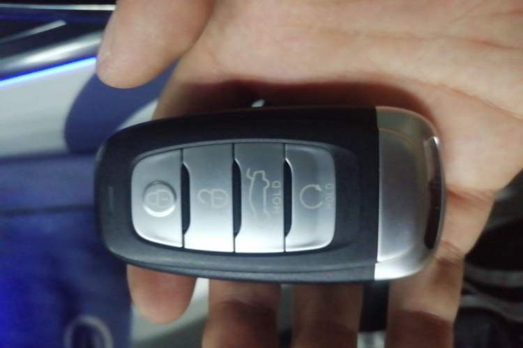Used Hongqi H9 2022 3.0T H9+ Premium Custom Edition Vehicle Key
