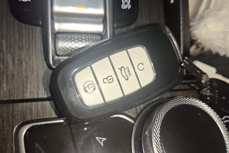 Used Hongqi H9 2022 3.0T Smart Connect Flagship Four-Seater Version Vehicle Key