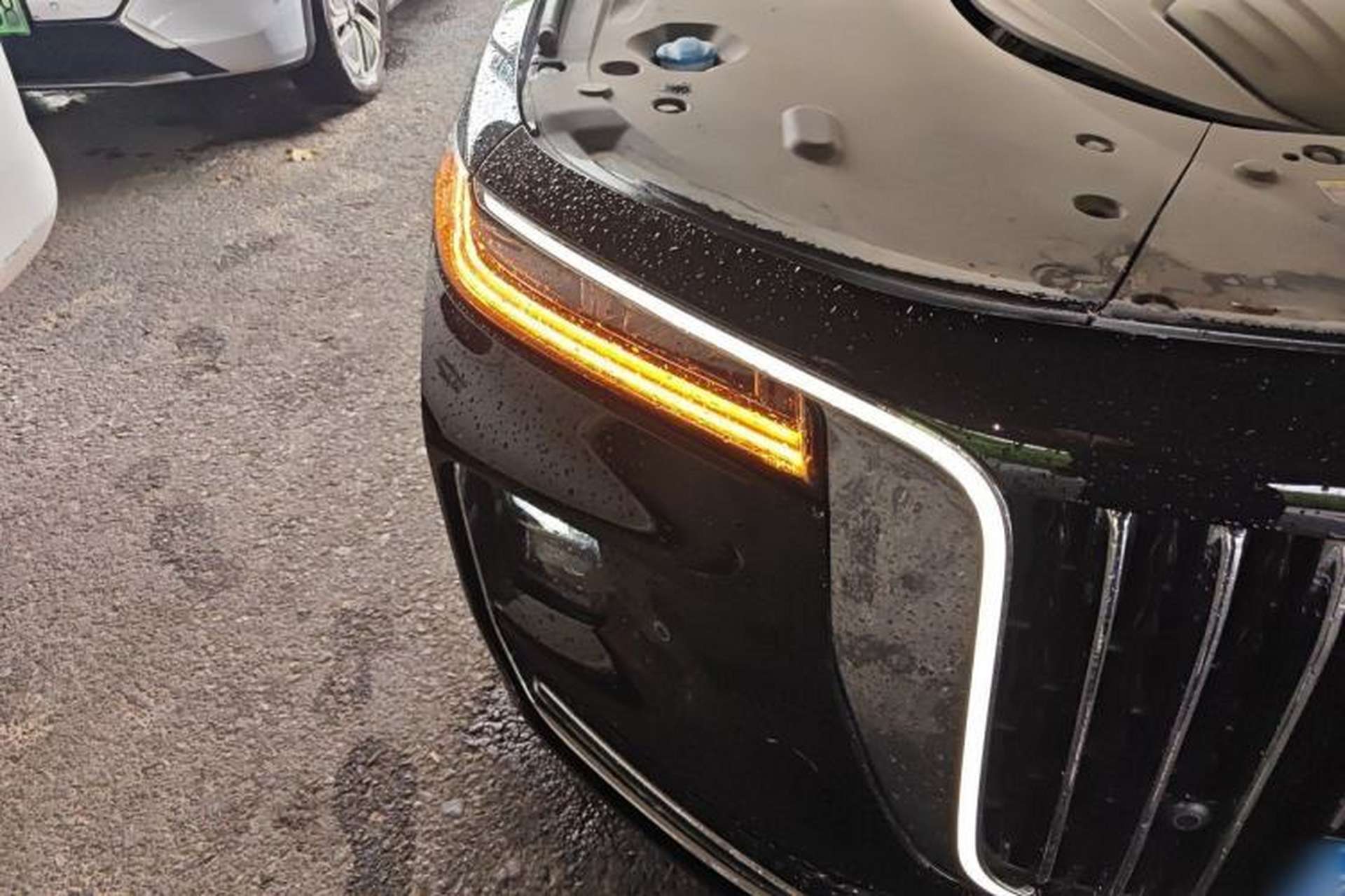 Used Hongqi H9 2023 2.0T Smart Connect Flagship Edition Exterior 6