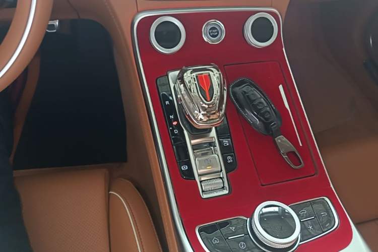 Used Hongqi H9 2023 2.0T Smart Connect Flagship Edition Gear Lever