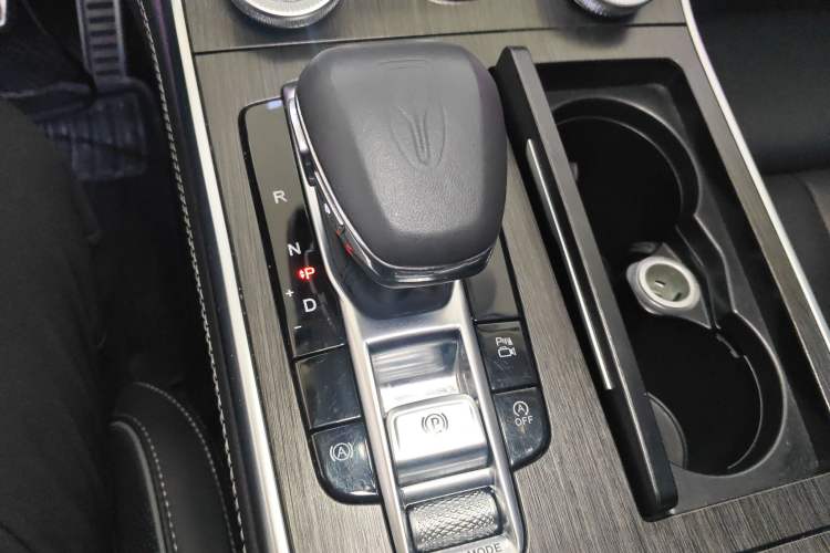 Used Hongqi H9 2023 2.0T Smart Connect Flagship Edition Gear Lever