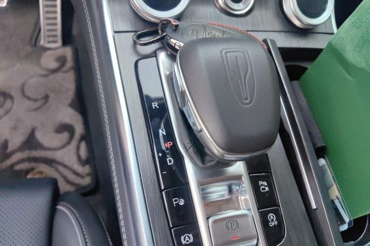 Used Hongqi H9 2023 2.0T Smart Connect Flagship Edition Gear Lever