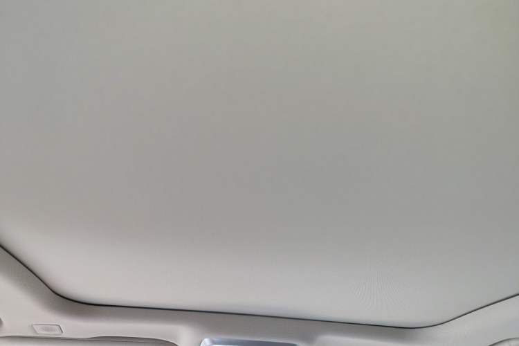Used Hongqi H9 2023 2.0T Smart Connect Flagship Edition Headliner