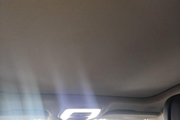 Used Hongqi H9 2023 2.0T Smart Connect Flagship Edition Headliner
