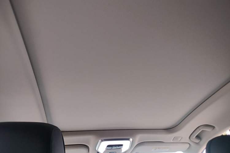 Used Hongqi H9 2023 2.0T Smart Connect Flagship Edition Headliner
