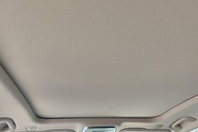 Used Hongqi H9 2023 2.0T Smart Connect Flagship Edition Headliner