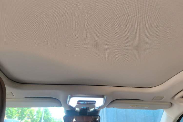 Used Hongqi H9 2023 2.0T Smart Connect Flagship Edition Headliner