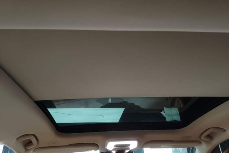 Used Hongqi H9 2023 2.0T Smart Connect Flagship Edition Headliner